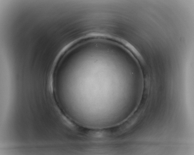X0000114200791200910091252