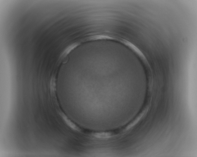 X0000114200793200910091251