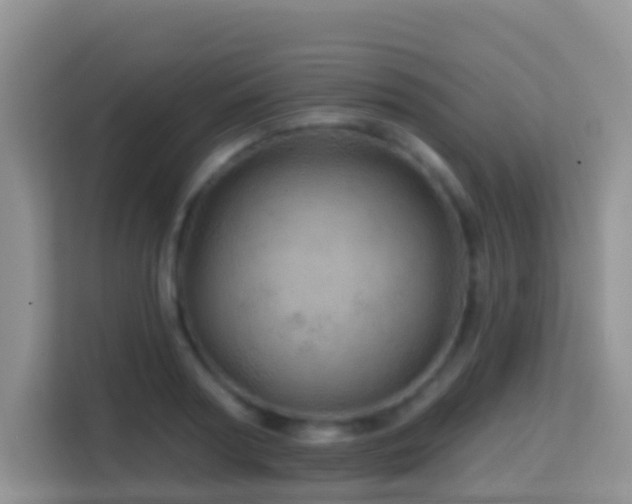 X0000114200794200910091251