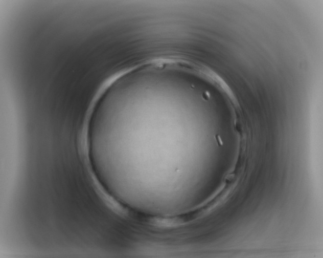 X0000114200795200910091251