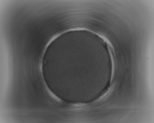 X0000114200797200910091251