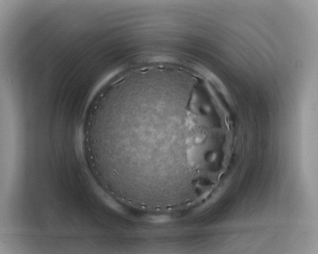 X0000114200798200910091251
