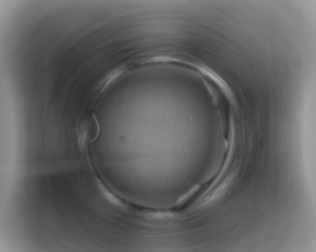 X0000114200801200910091251