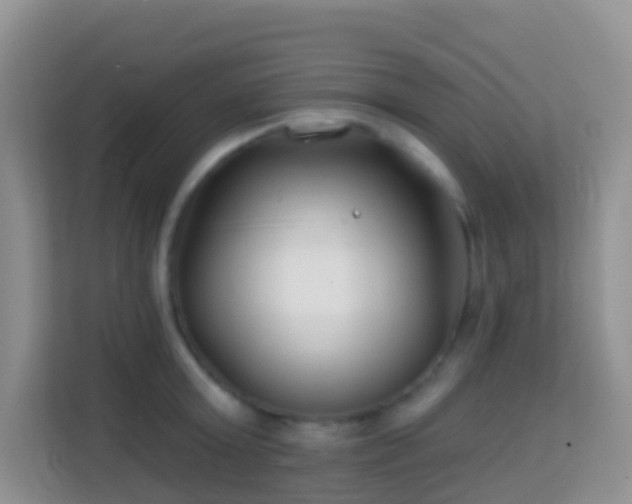 X0000114200803200910091251