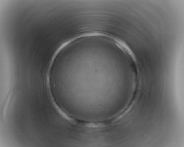 X0000114200805200910091251