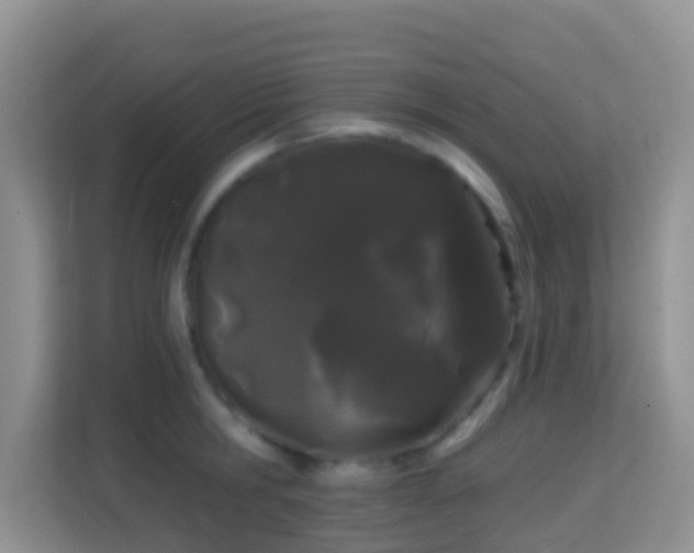 X0000114200806200910091251