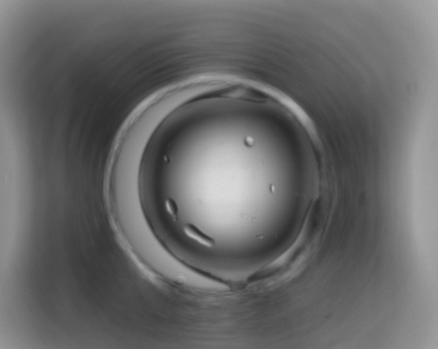 X0000114200807200910091251