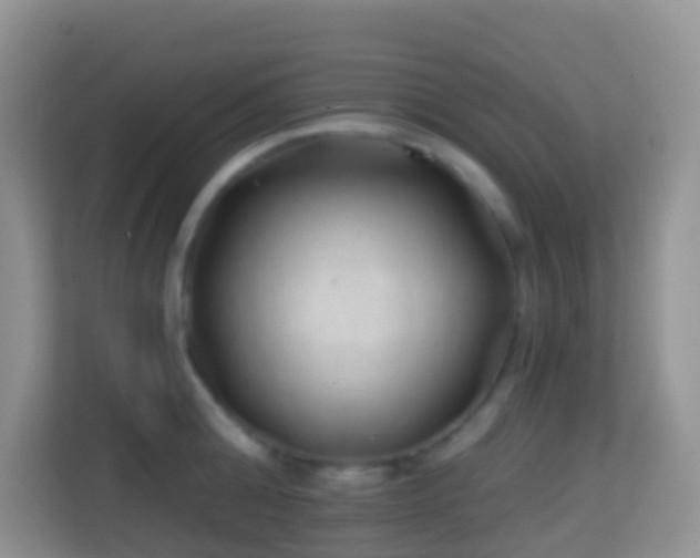 X0000114200808200910091251