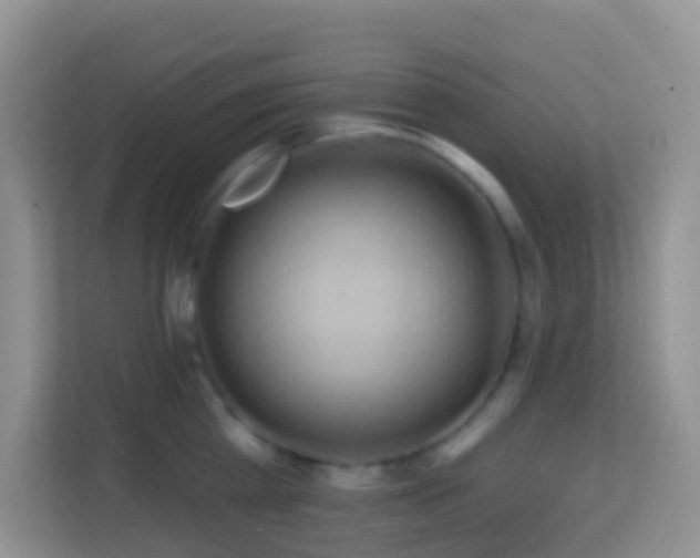 X0000114200809200910091251