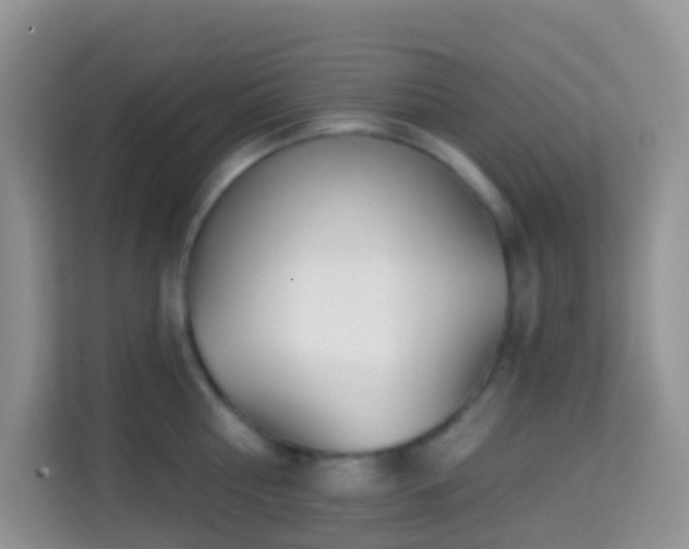 X0000114200810200910091251