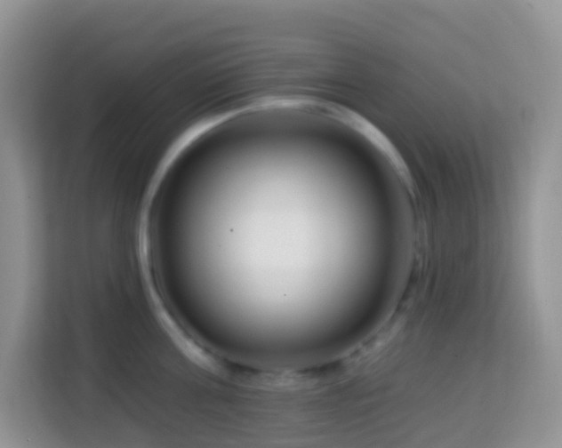 X0000114200811200910091251