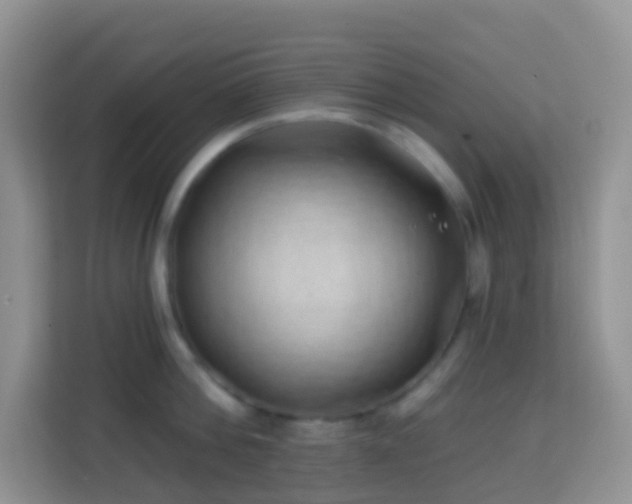 X0000114200812200910091251