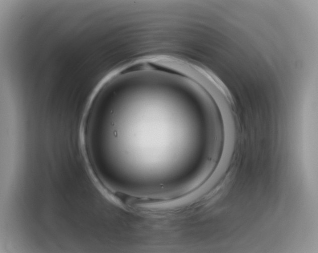 X0000114200813200910091251