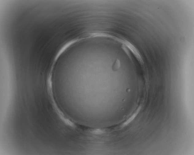 X0000114200814200910091251