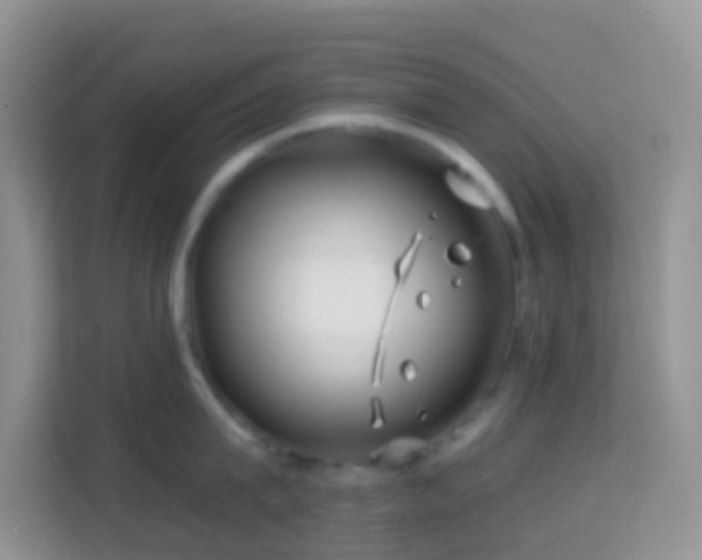 X0000114200815200910091251