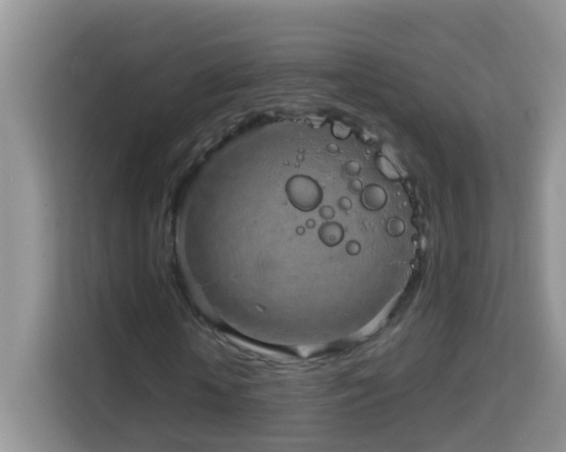 X0000114200818200910091251