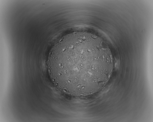 X0000114200819200910091251