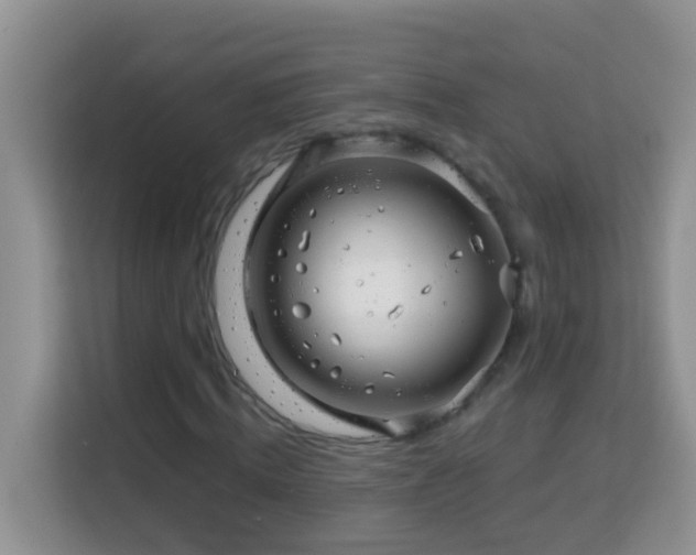 X0000114200820200910091251