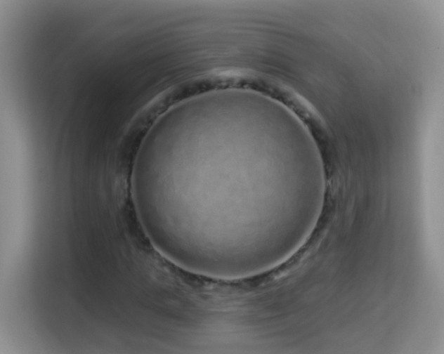 X0000114200821200910091251