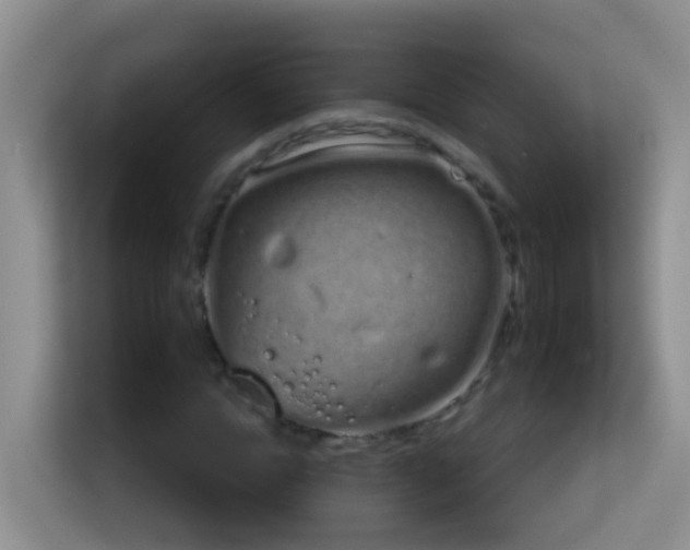 X0000114200822200910091251