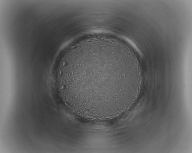 X0000114200823200910091251