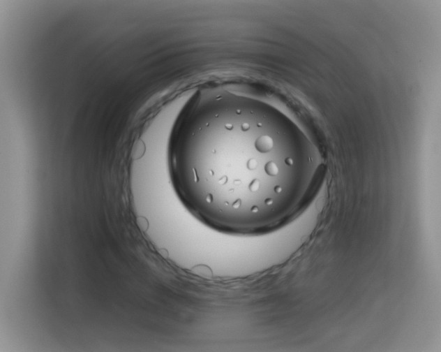 X0000114200824200910091251