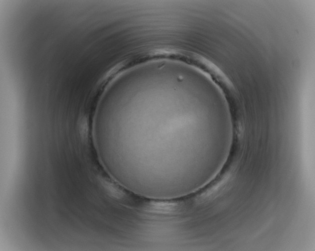 X0000114200825200910091251