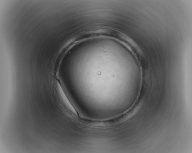 X0000114200826200910091251