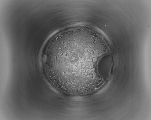 X0000114200827200910091251