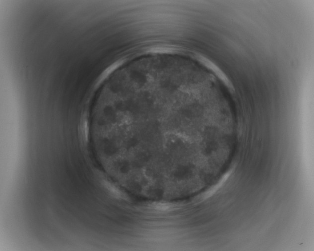 X0000114200829200910091251