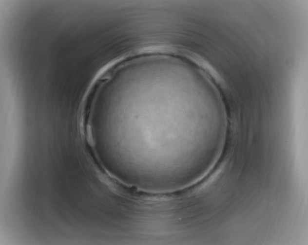 X0000114200830200910091251