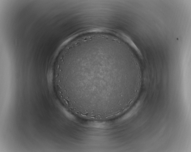 X0000114200831200910091251