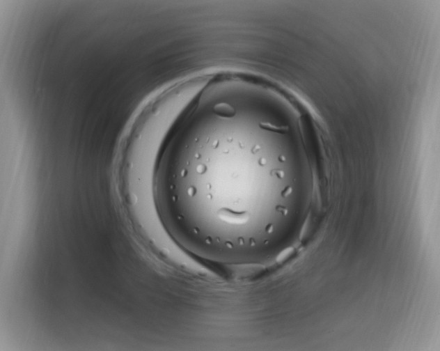 X0000114200832200910091251