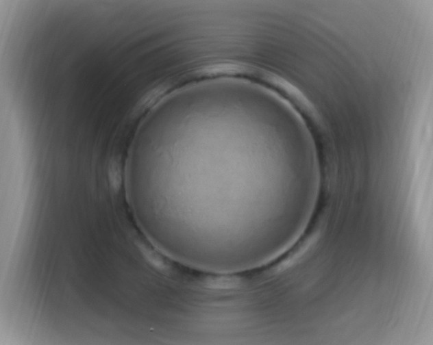 X0000114200833200910091251