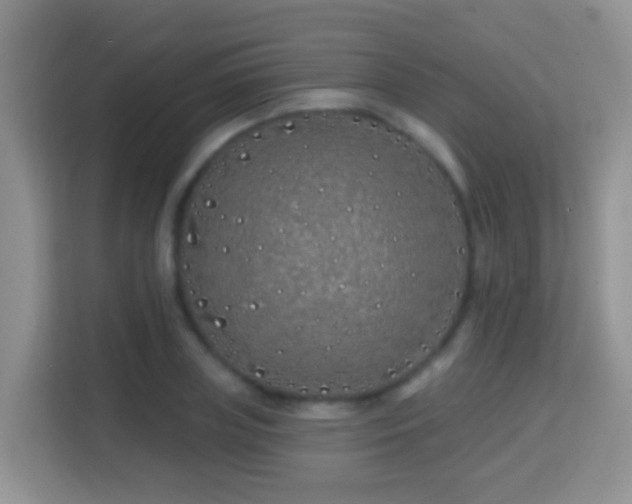 X0000114200835200910091251