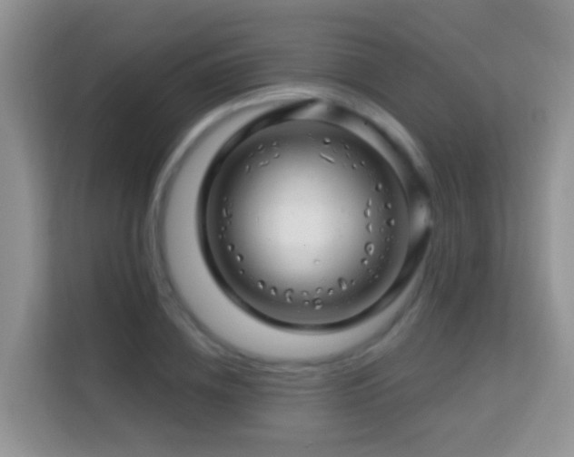 X0000114200836200910091251