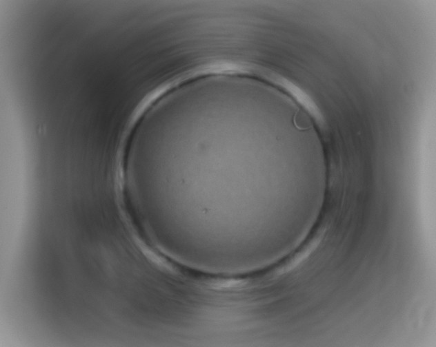 X0000114200837200910091251