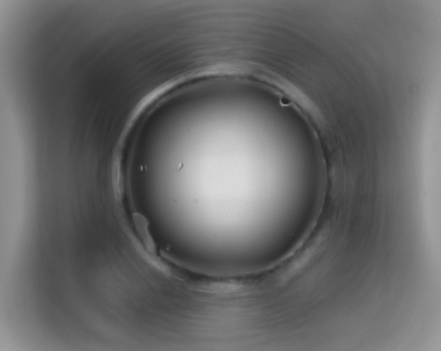 X0000114200838200910091251