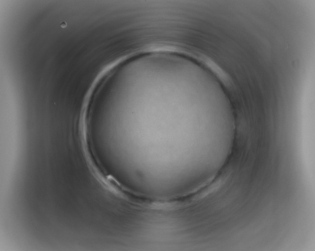 X0000114200840200910091251