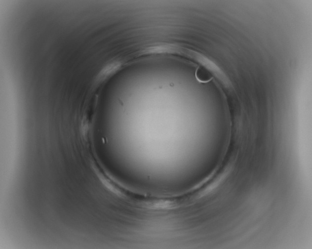X0000114200841200910091251
