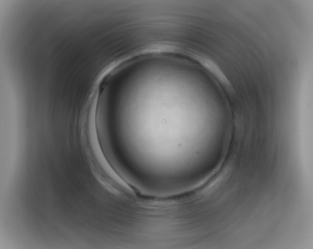 X0000114200842200910091251