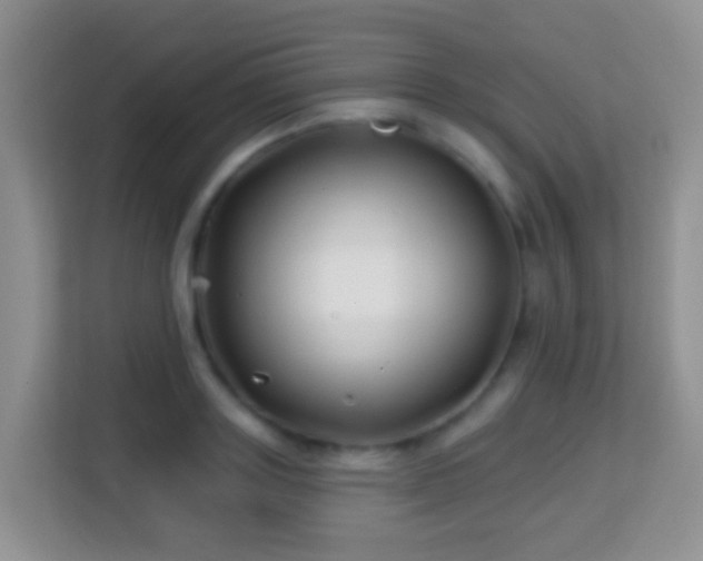 X0000114200843200910091251