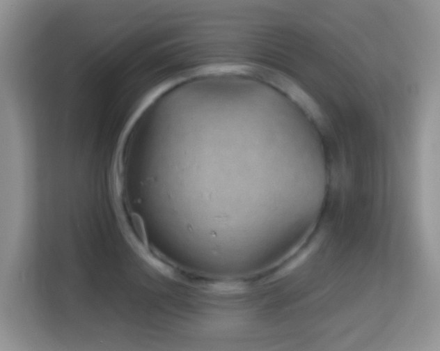 X0000114200844200910091251