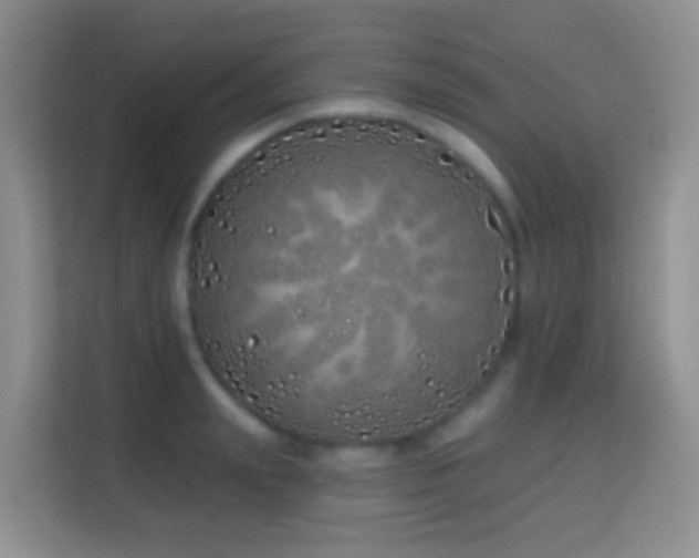 X0000114200847200910091251