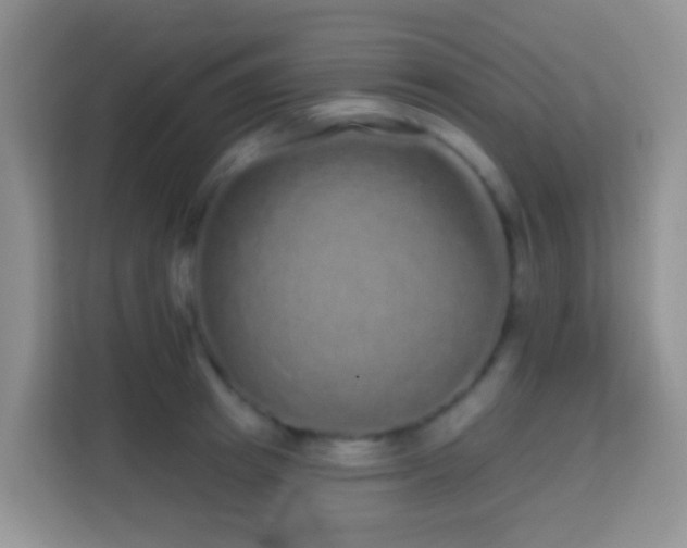 X0000114200849200910091251
