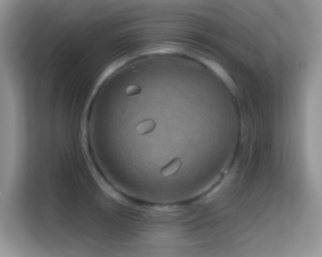 X0000114200850200910091251