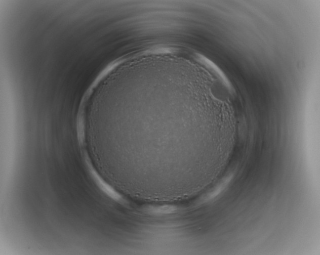 X0000114200851200910091251