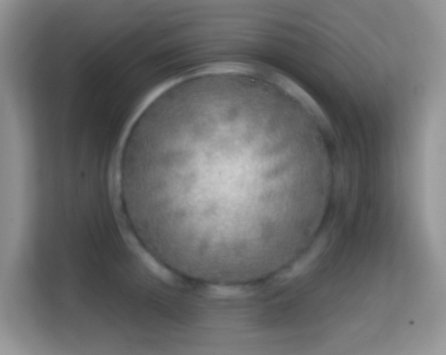X0000114200852200910091251