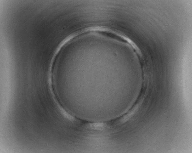 X0000114200853200910091251