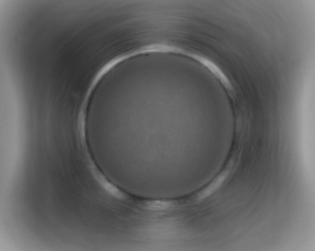 X0000114200854200910091251